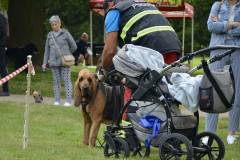 DSC_0211