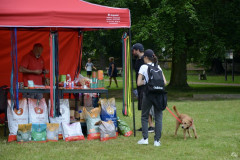DSC_0251-1