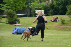 DSC_3055