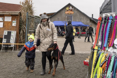 20241222_dogsy_1