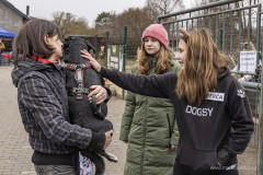 20241222_dogsy_10