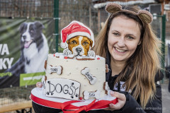 20241222_dogsy_124