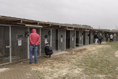 20241222_dogsy_14