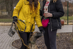 20241222_dogsy_33