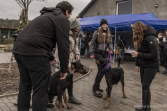 20241222_dogsy_39